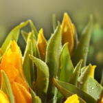 Thumbnail of post image 041