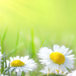 Thumbnail of post image 122