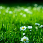 Thumbnail of post image 030