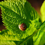 Thumbnail of post image 131