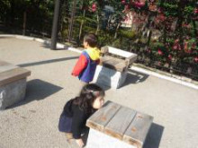 ひな日記
